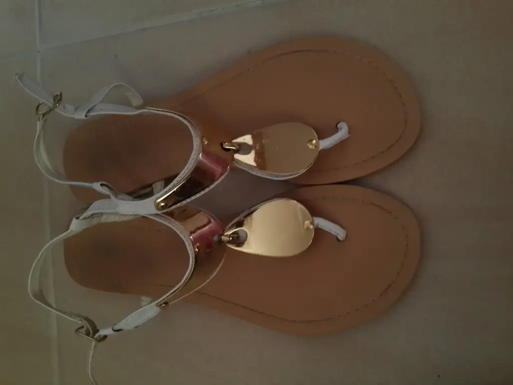 20150824_115527.webp