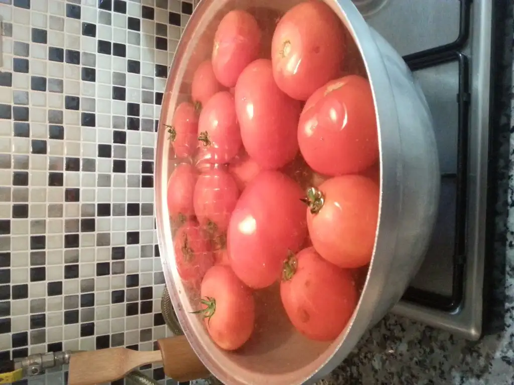 20150828_202748.webp