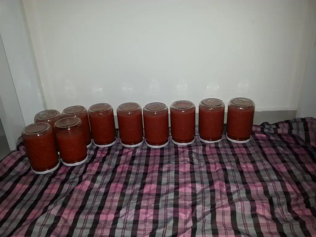 20150828_220758.webp