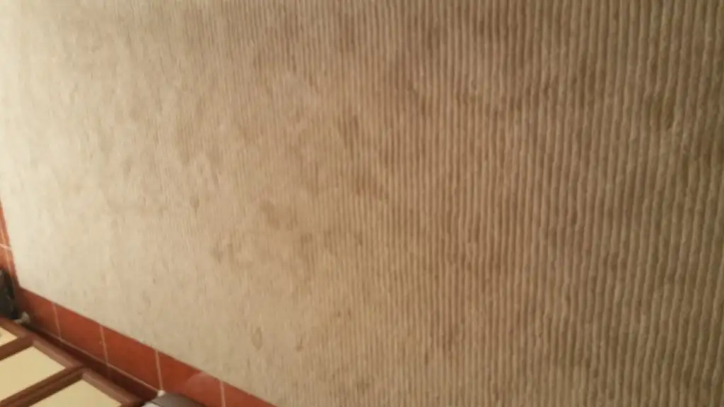 20150912_093556[1].webp