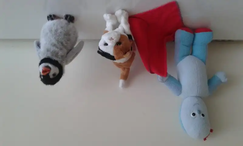 20150920_175733.webp