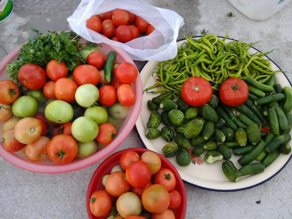 20150922_174808.webp