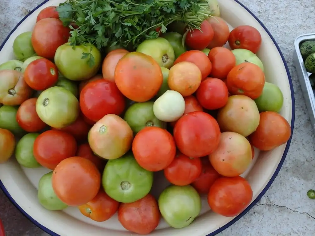 20150922_180529.webp