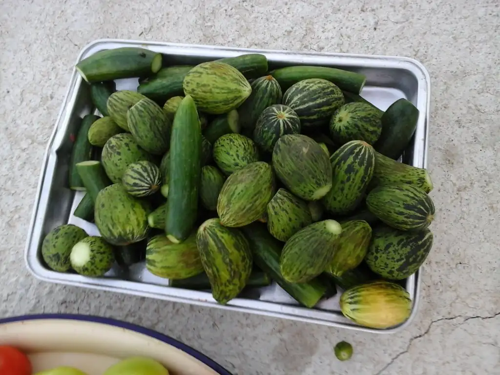 20150922_180533.webp