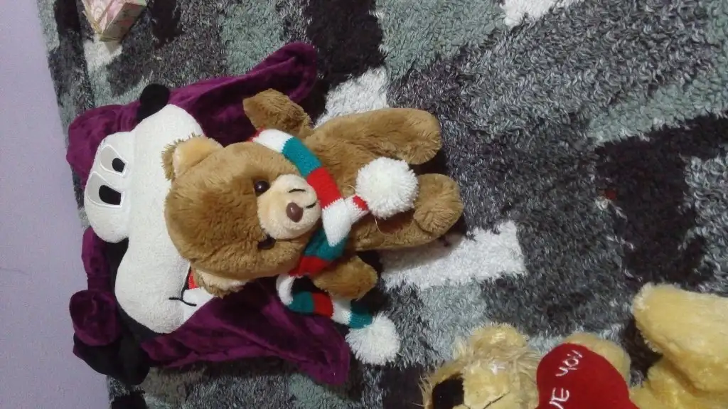 20151008_230132.webp