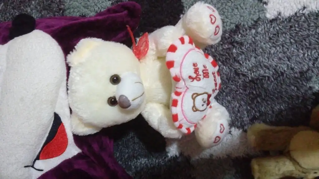 20151008_230235.webp