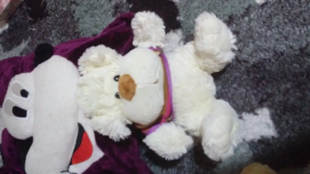 20151008_230318.webp