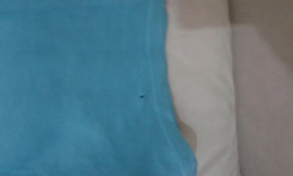 20151030_164823.webp