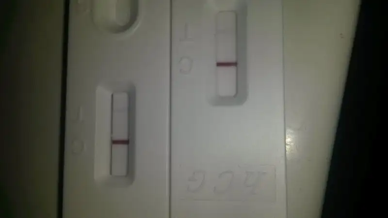 20151112_073055.webp
