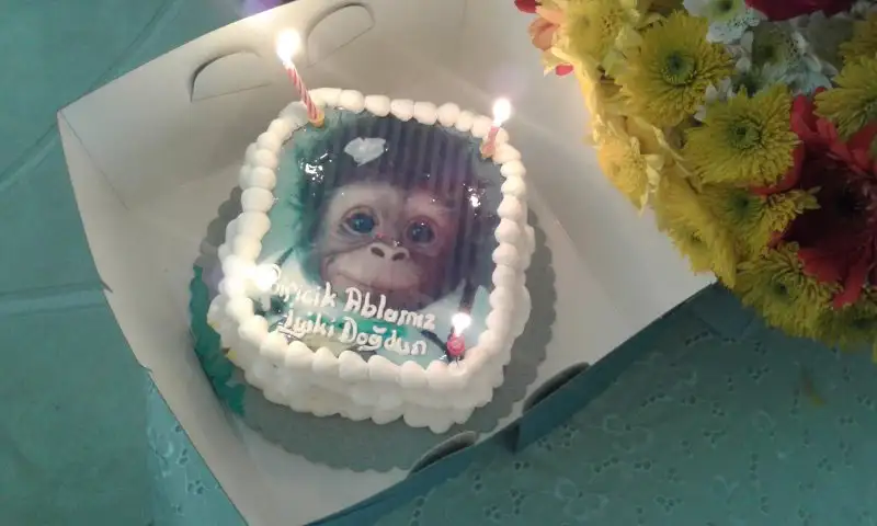 20151122_105415.webp