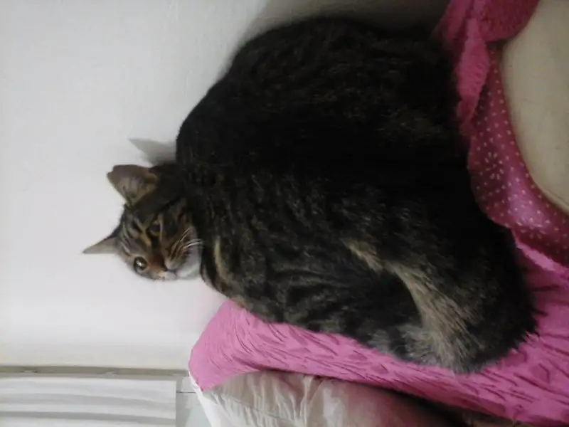 20151211_010611.webp
