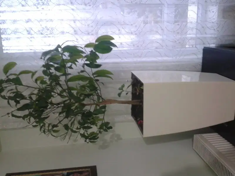 20151221_161602.webp