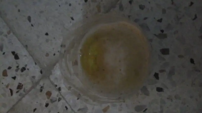 20151227_195713.webp