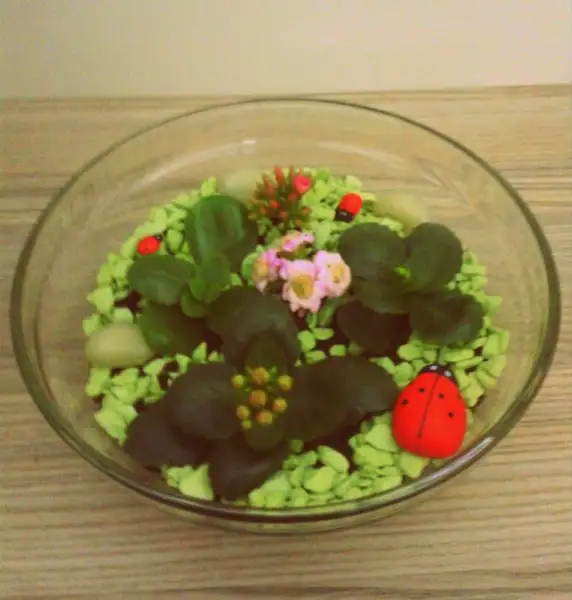 2016-02-02 21.19.33.webp