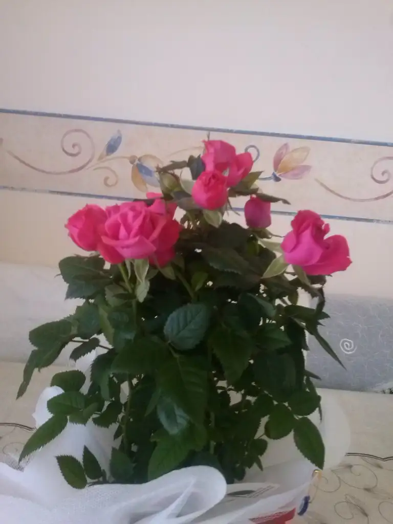 2016-03-31 16.04.51.webp