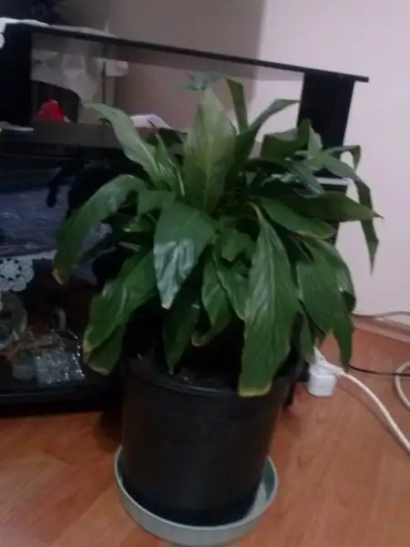 2016-04-07 22.32.22.webp