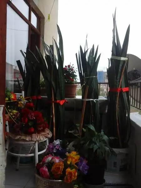 2016-04-08 14.11.28.webp