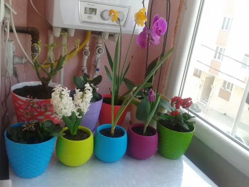 2016-04-10 17.06.27.webp
