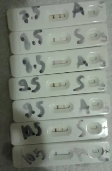 2016-05-10 22.32.18.webp