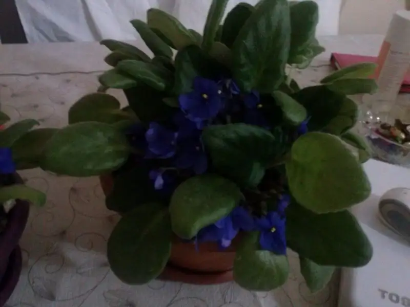 2016-07-07 23.09.24.webp