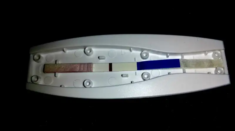 2016-09-04 12.13.28.webp