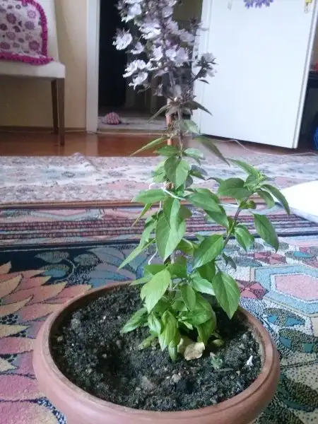 2016-09-22 17.08.34.webp