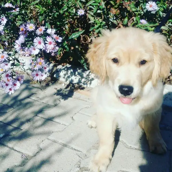 2016-09-27 17.53.14.webp