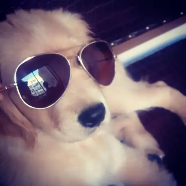 2016-09-27 17.53.34.webp