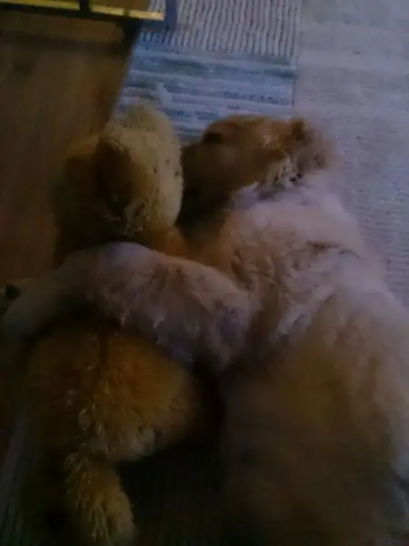 2016-09-27 17.53.39.webp