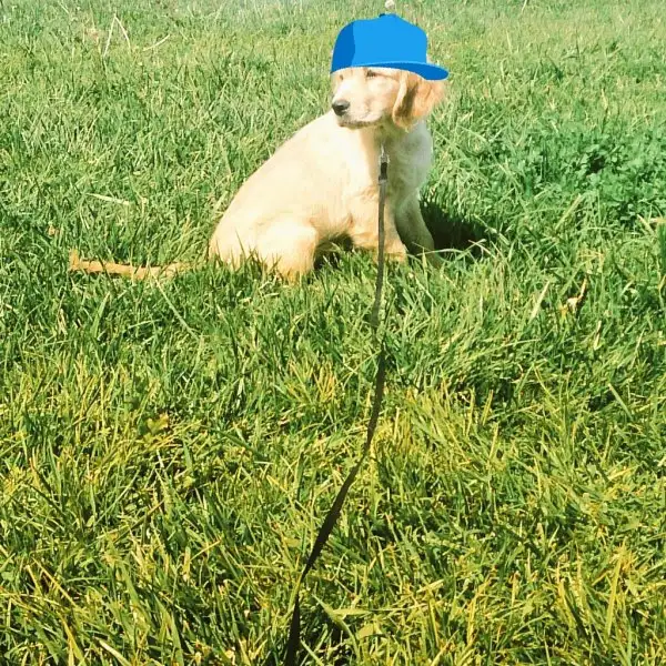 2016-09-27 17.55.01.webp