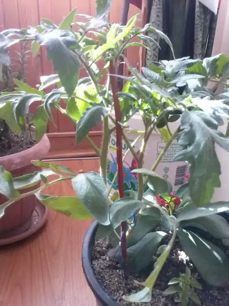 2016-11-01 11.37.48.webp