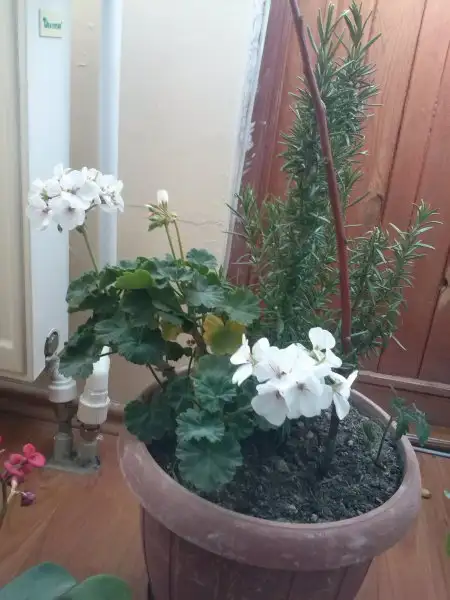 2016-11-01 11.37.57.webp