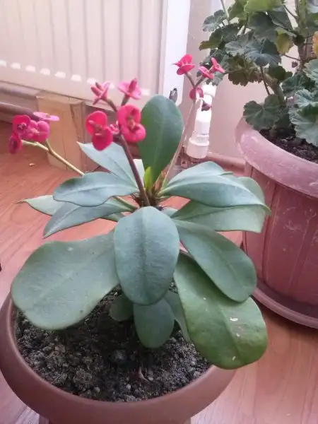 2016-11-01 11.38.01.webp