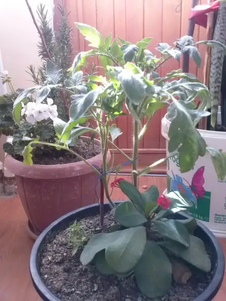 2016-11-01 11.38.13.webp