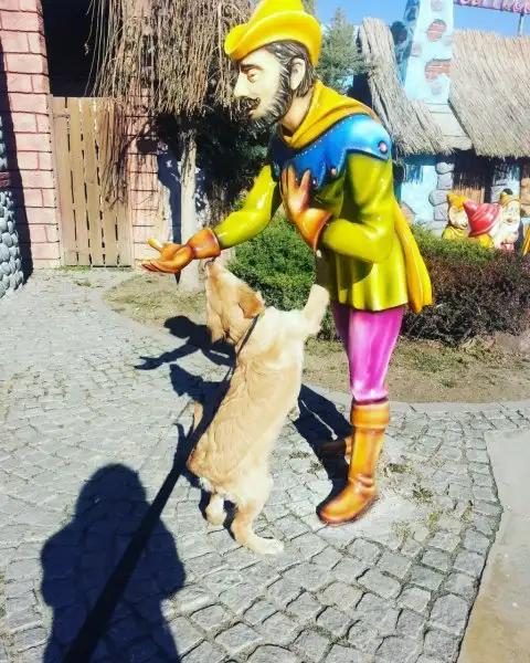 2016-11-19 12.53.32.webp