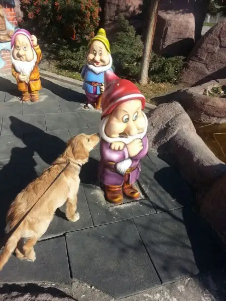 2016-11-19 12.53.40.webp