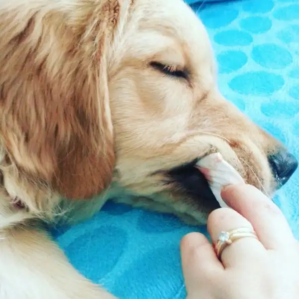 2016-11-19 12.54.11.webp