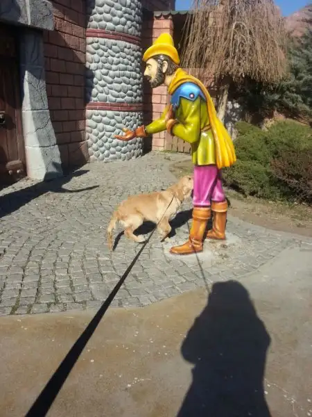 2016-11-19 12.54.23.webp