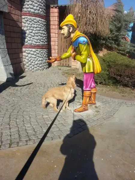 2016-11-19 12.54.31.webp