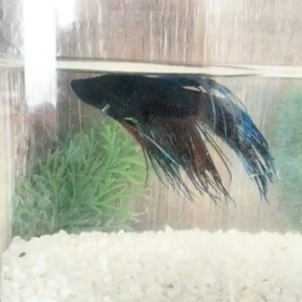 2016-11-19 12.54.38.webp