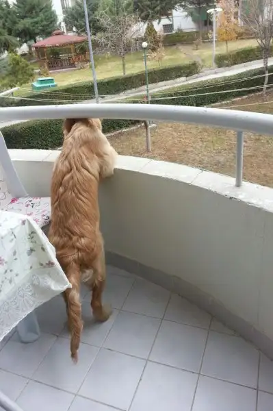 2016-11-19 12.54.48.webp