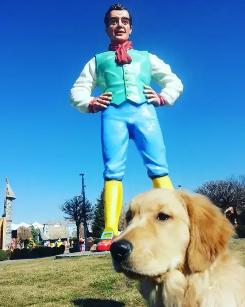 2016-11-19 12.54.59.webp