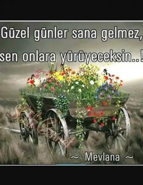 2016-12-04 10.27.14.webp