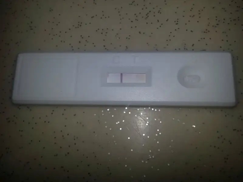 20161119_195300.webp