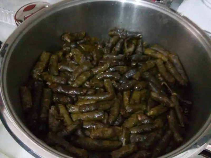 20170131_134633.webp