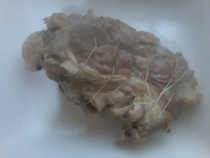 20170203_165715.webp
