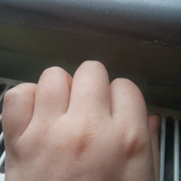 20170319_122243.webp