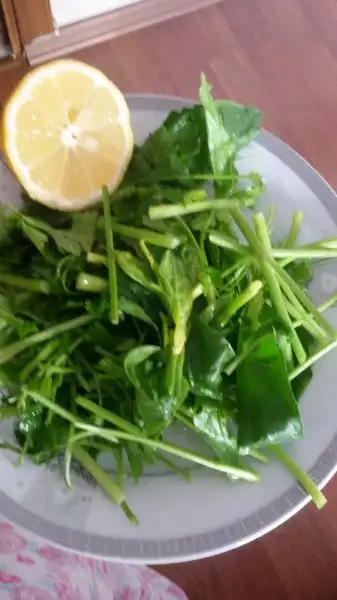 20170325_165547.webp