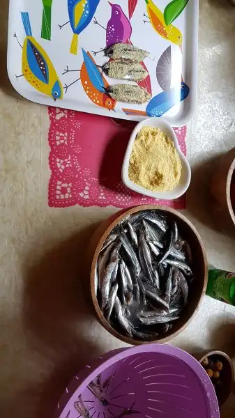 20171201_155707.webp