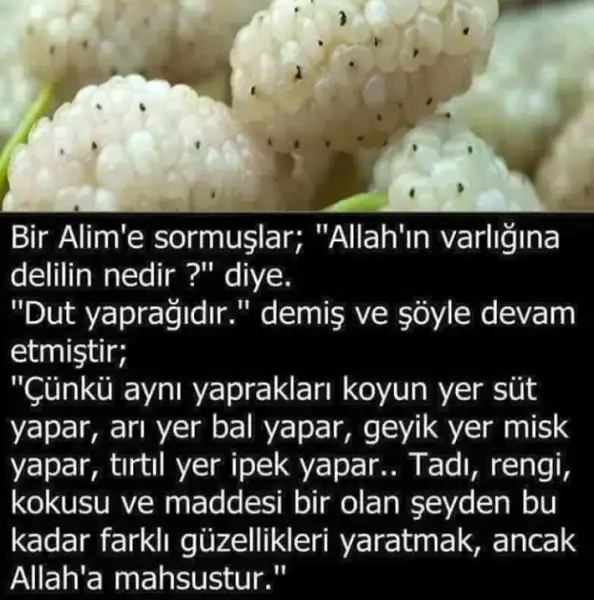 2018-05-19 14.15.29.webp